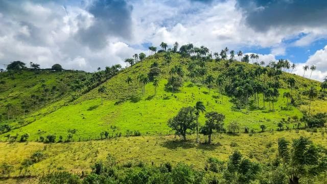 Z Punta Cana: Celodenní výlet po ostrově s obědem — Guided tour and outdoor activity