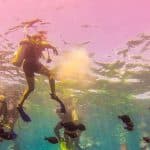 La Romana: Ganztägige Schnorcheltour zur Insel Catalina — Guided tour and outdoor activity