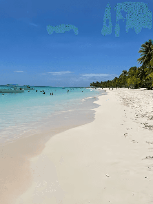 Ze Santo Dominga: Jednodenní výlet na Isla Saona s jízdou na katamaránu — Guided tour and outdoor activity