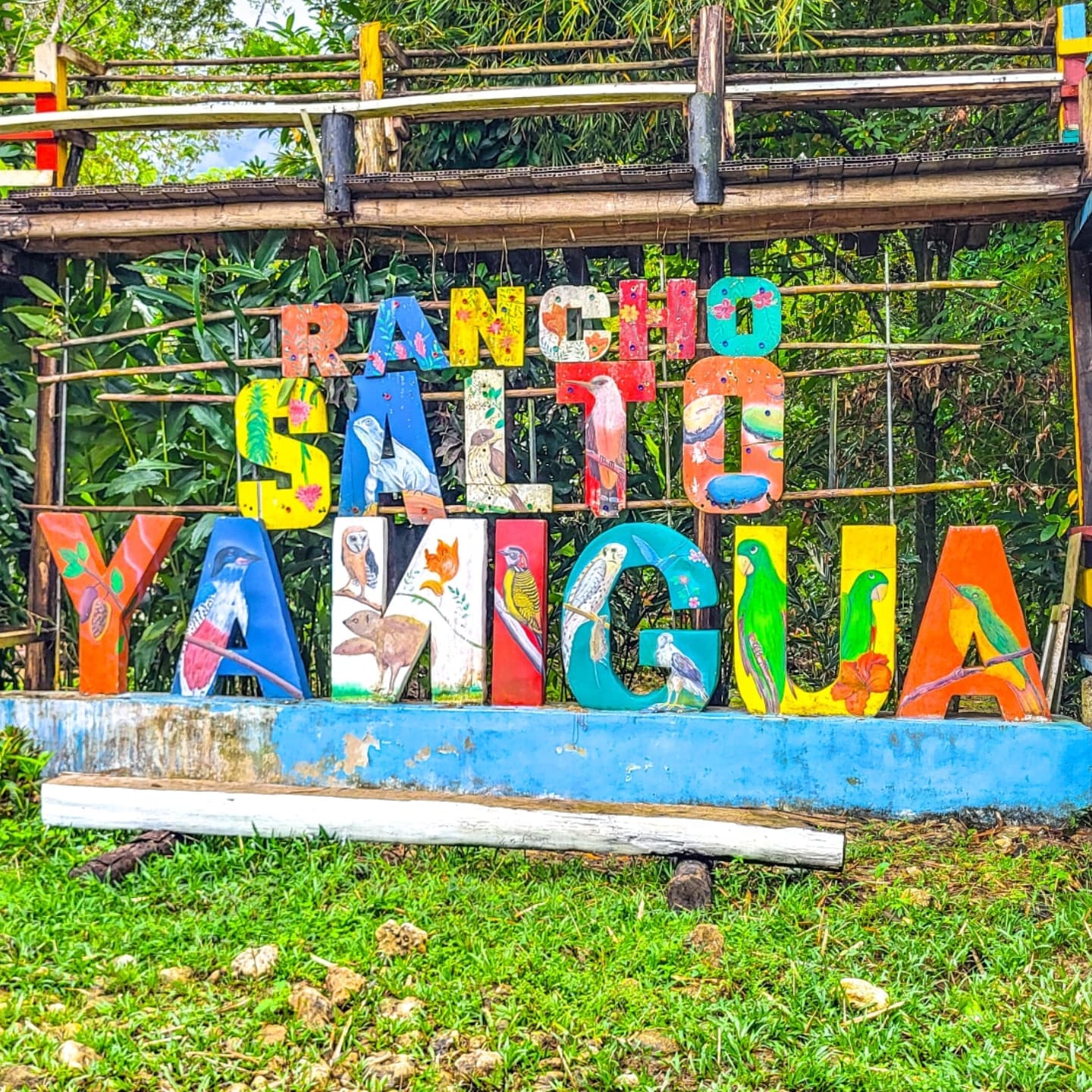 3-in-1: Los Haitises w/ Montaña Redonda & Yanigua Waterfalls — Guided tour and outdoor activity