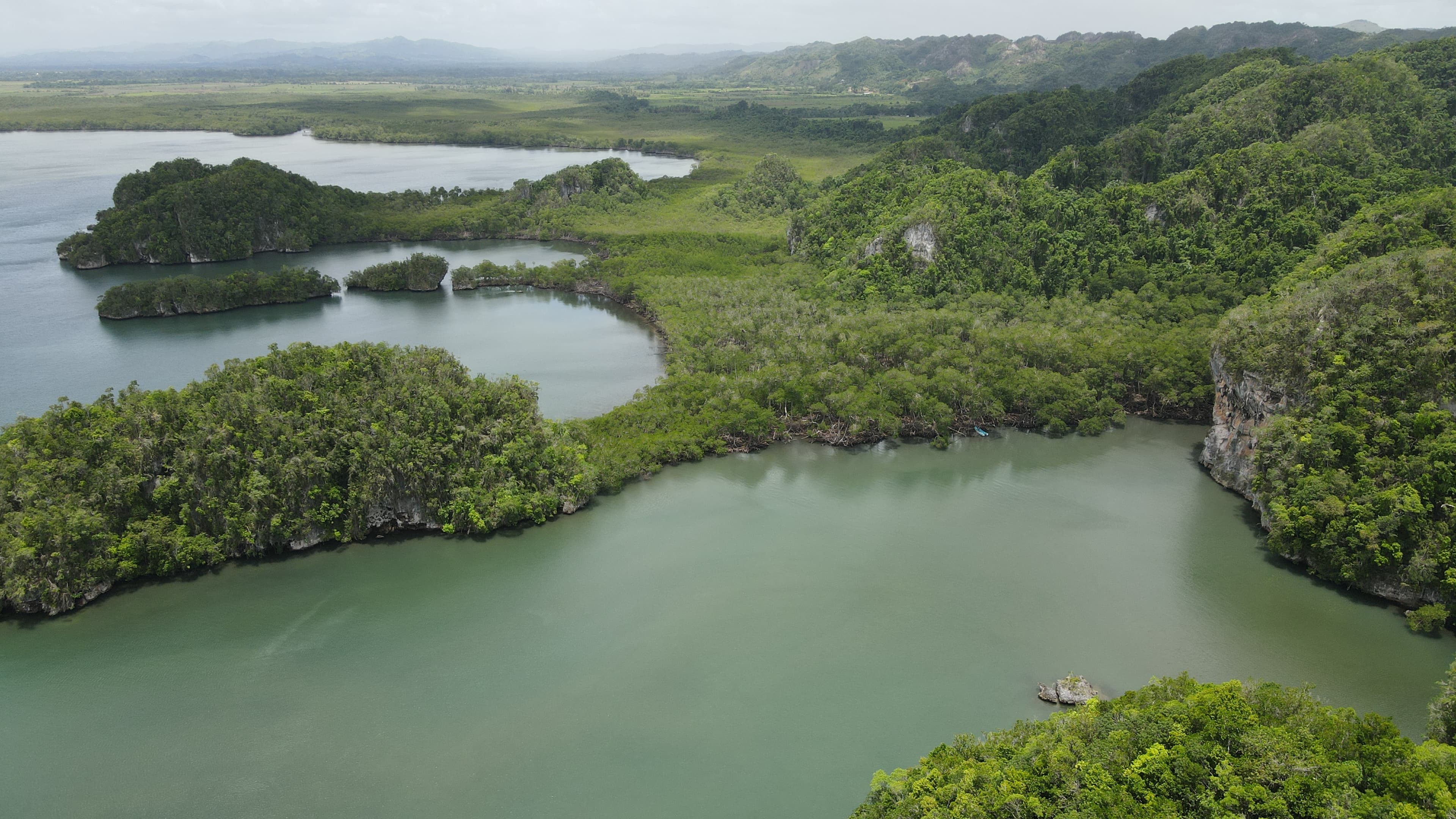 Los Haitises Samanából: Hajótúrák, barlangok és mangrove-k - Whale Watching Punta Cana Guide