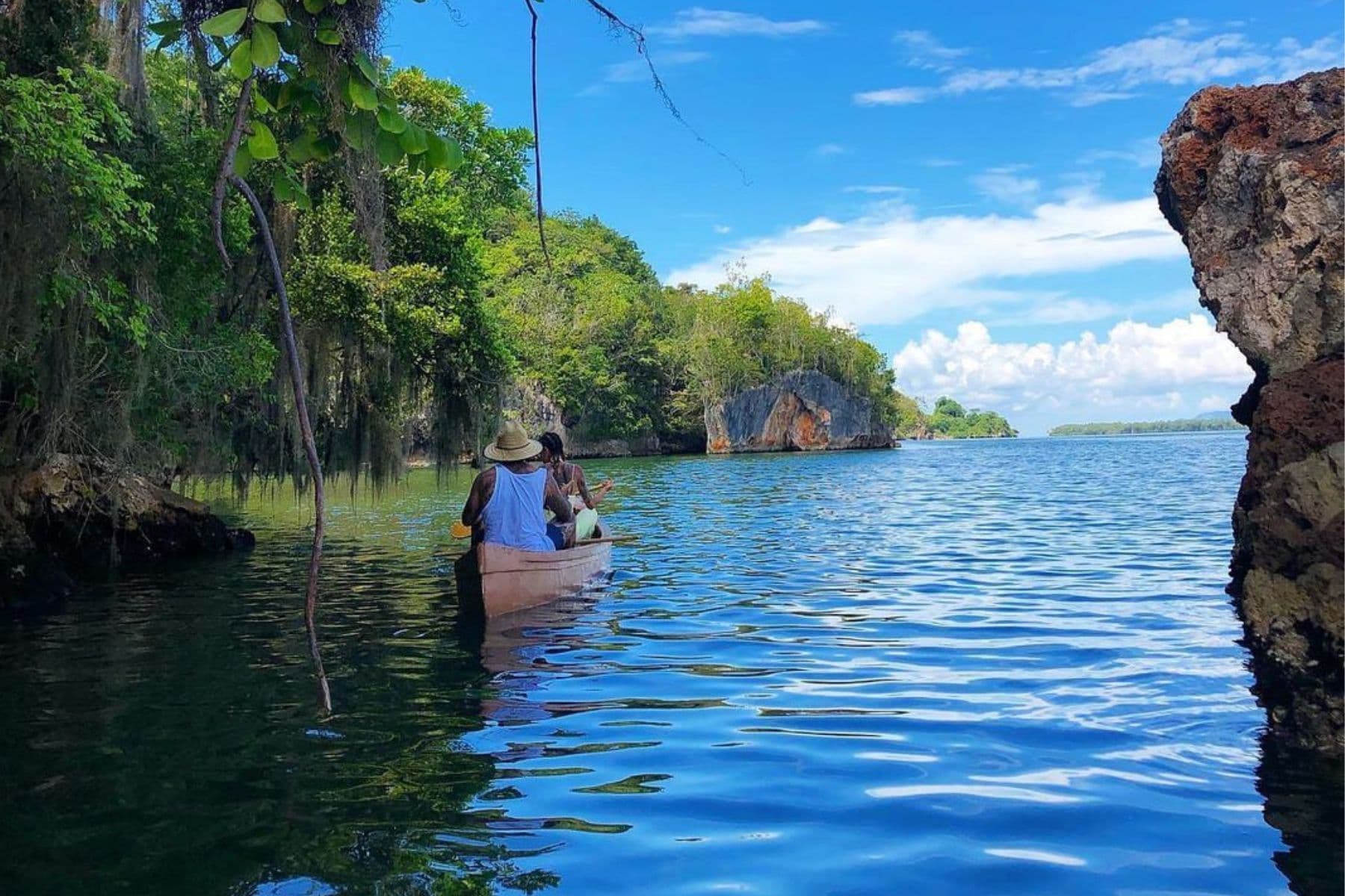 Los Haitises Tours: Ausflugs-, Preise- und Buchungsführer - Whale Watching Punta Cana Guide