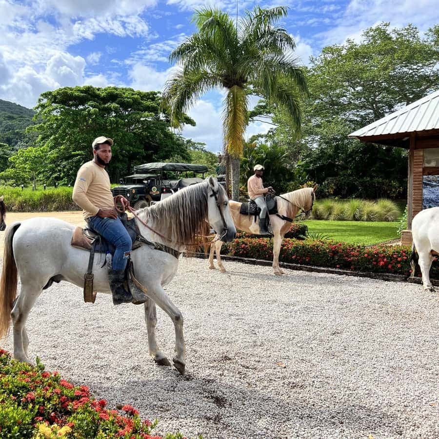 Buggy and Zipline Adventure at La Hacienda — Guided tour and outdoor activity