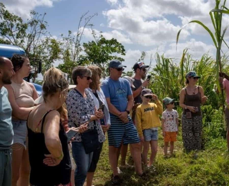 Punta Cana: Safari a prohlídka města s jízdou na koni — Guided tour and outdoor activity