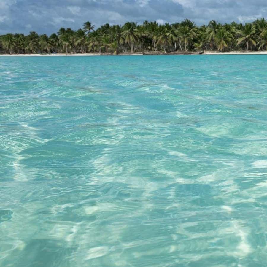 From Bayahibe: Saona Island Speedboat Tour with Snorkeling — Guided tour and outdoor activity