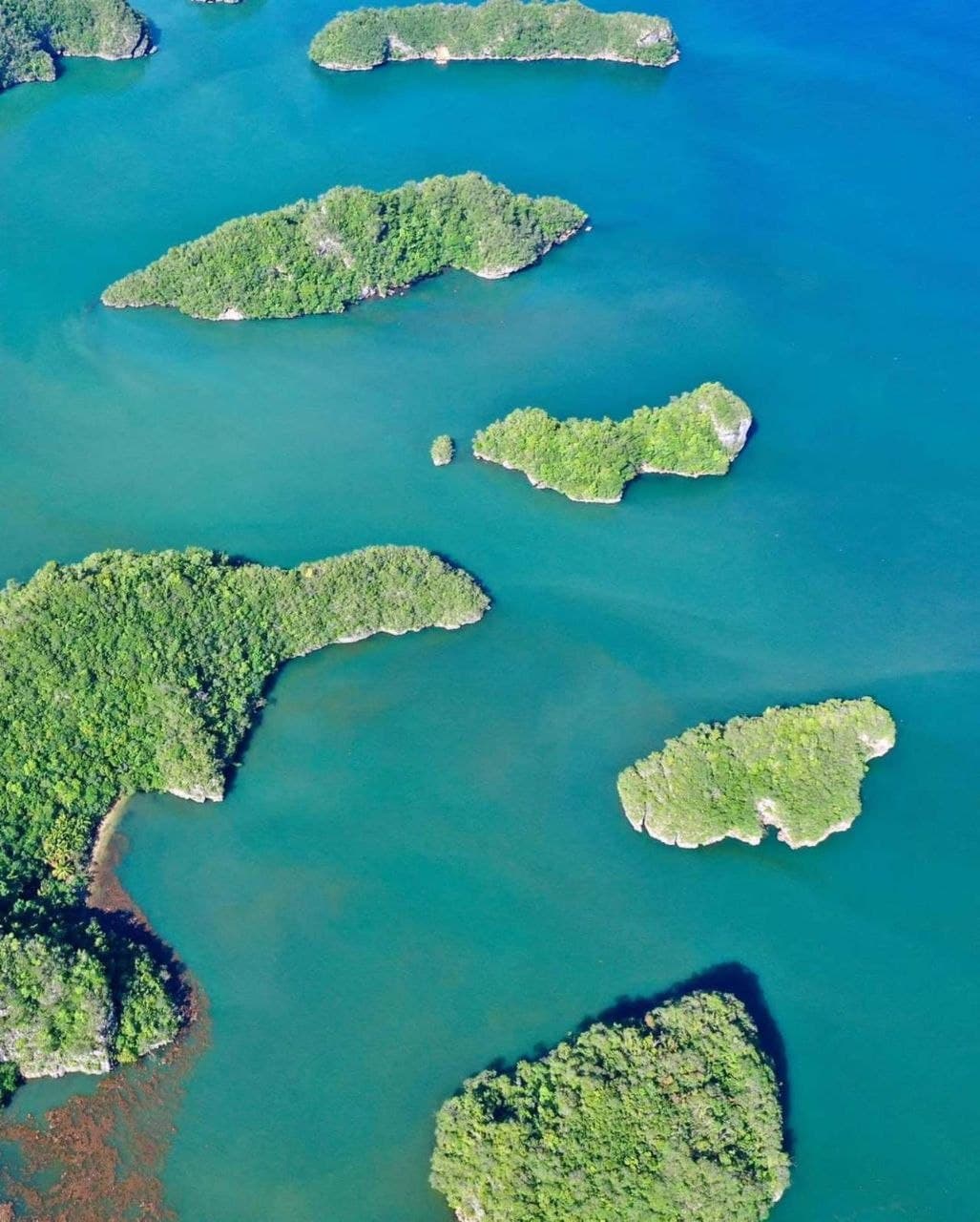 Ferry Tickets: Samaná & Sabana de la Mar — Guided tour and outdoor activity