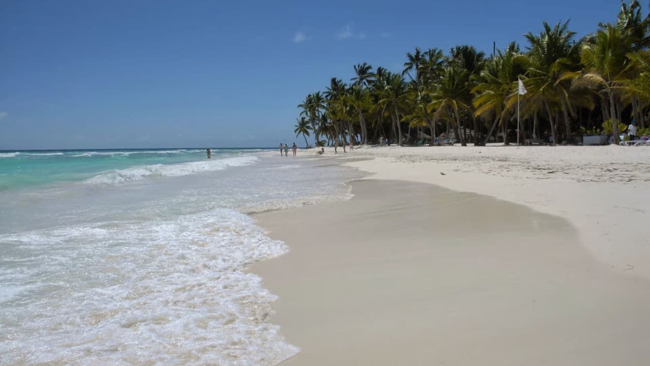 Bayahibe La Romana: Buggy-Tour + Fluss mit Transport — Guided tour and outdoor activity