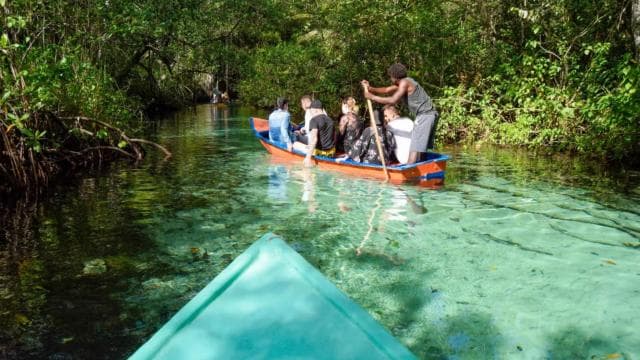 Punta Cana: Walbeobachtung in Samaná und Tagestour nach El Limón — Guided tour and outdoor activity