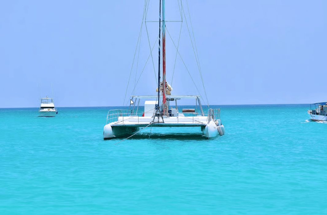 Punta cana: Island Escape to Saona • catamaran & Beach lunch — Guided tour and outdoor activity