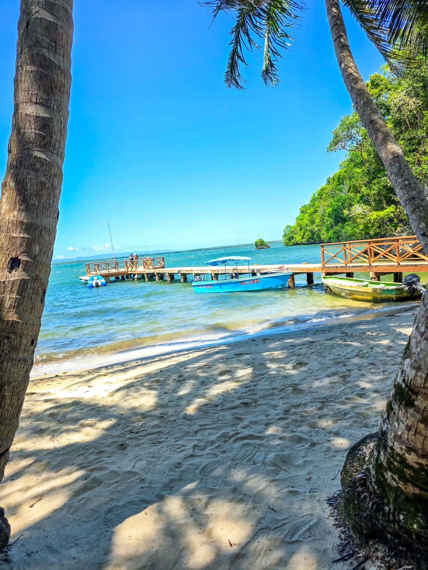Los Haitises Tour from Santo Domingo, Samaná or Sabana de la Mar. Full Day Trip. — Guided tour and outdoor activity