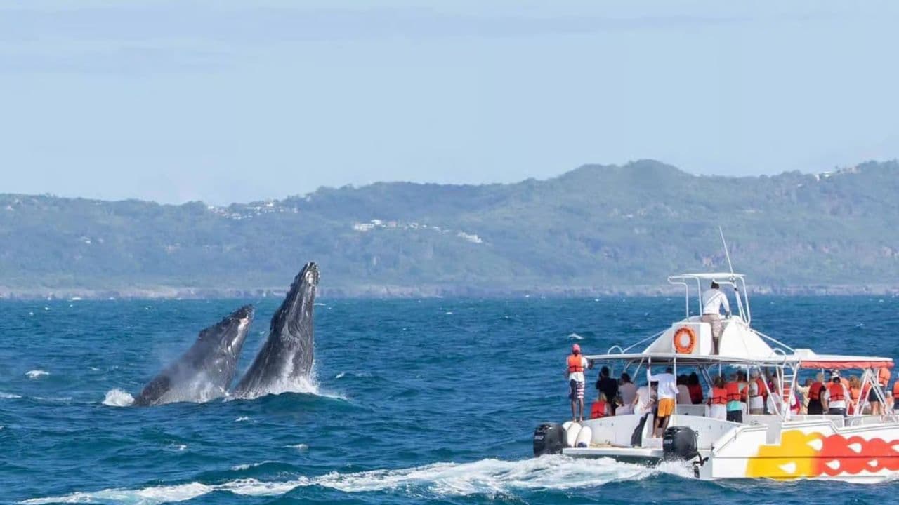 Samana Platinum — Guided tour and outdoor activity