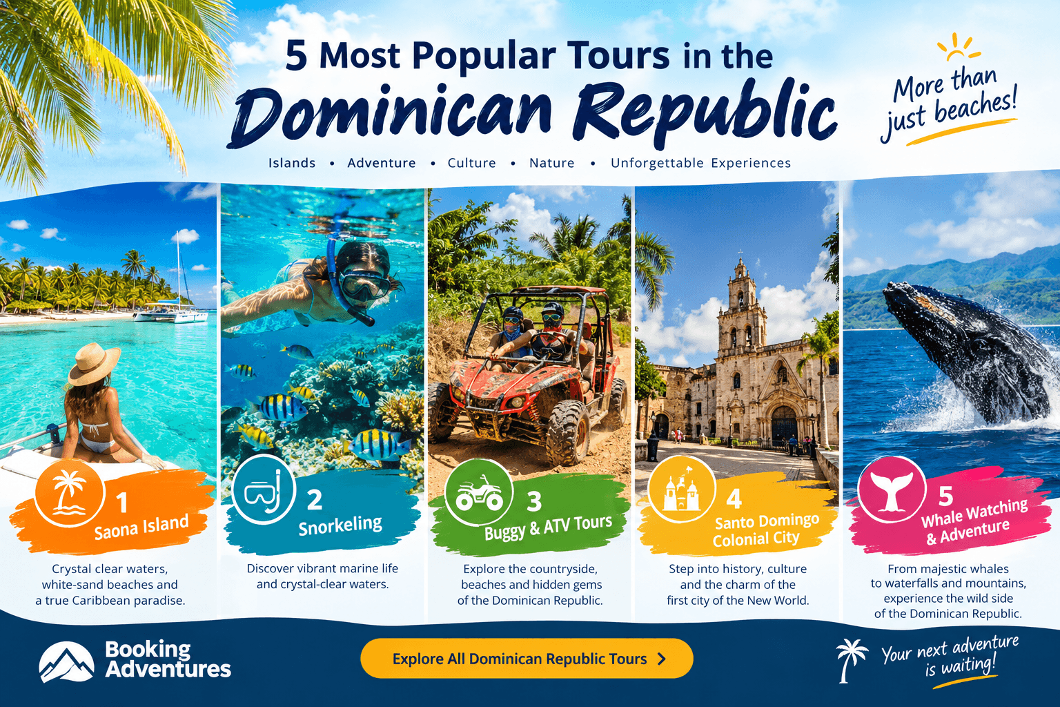5 nejoblíbenějších prohlídek v Dominikánské republice (průvodce 2026) - Whale Watching Punta Cana Guide