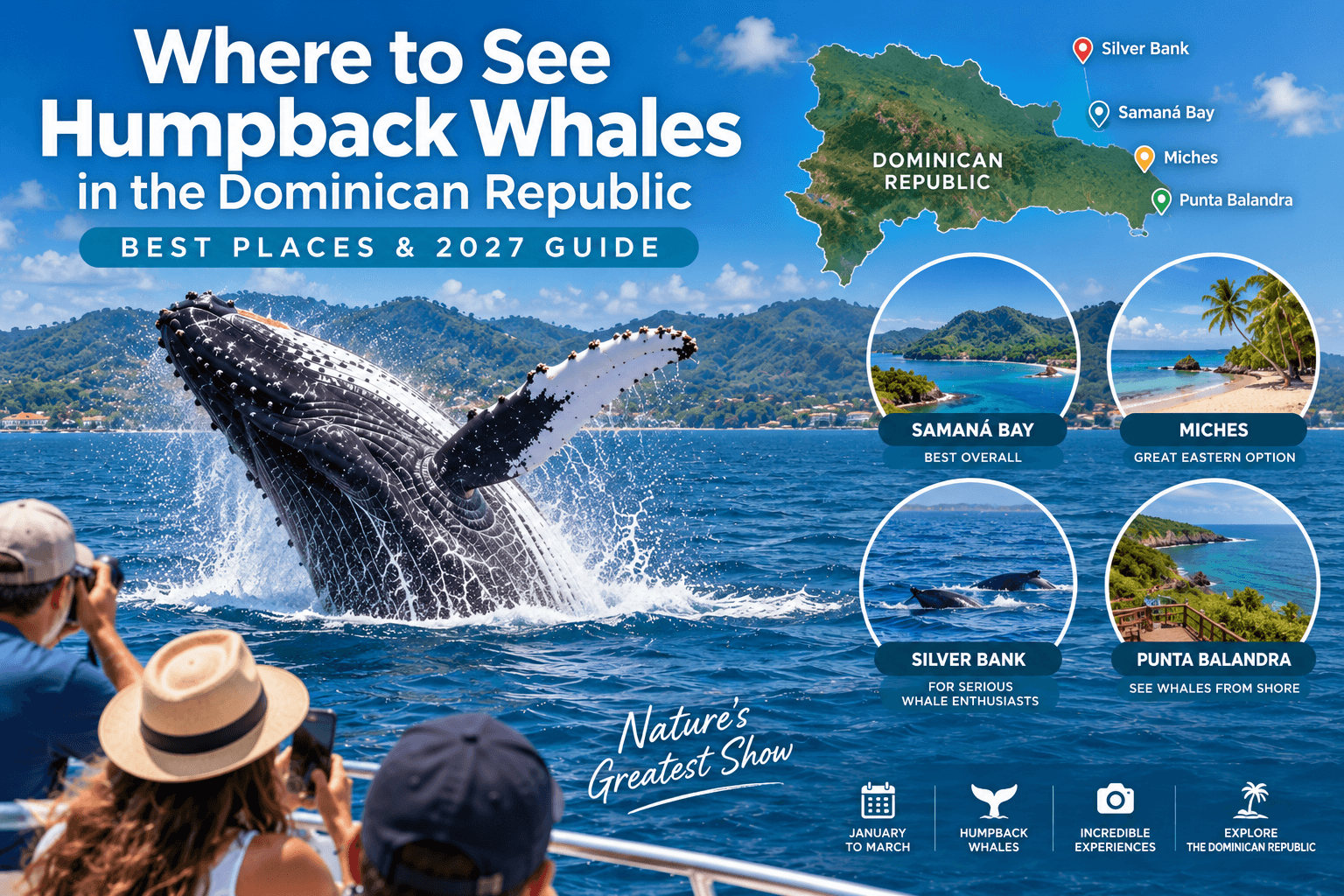 Kde vidět keporkaky v Dominikánské republice: Nejlepší místa a průvodce 2027 - Whale Watching Punta Cana Guide
