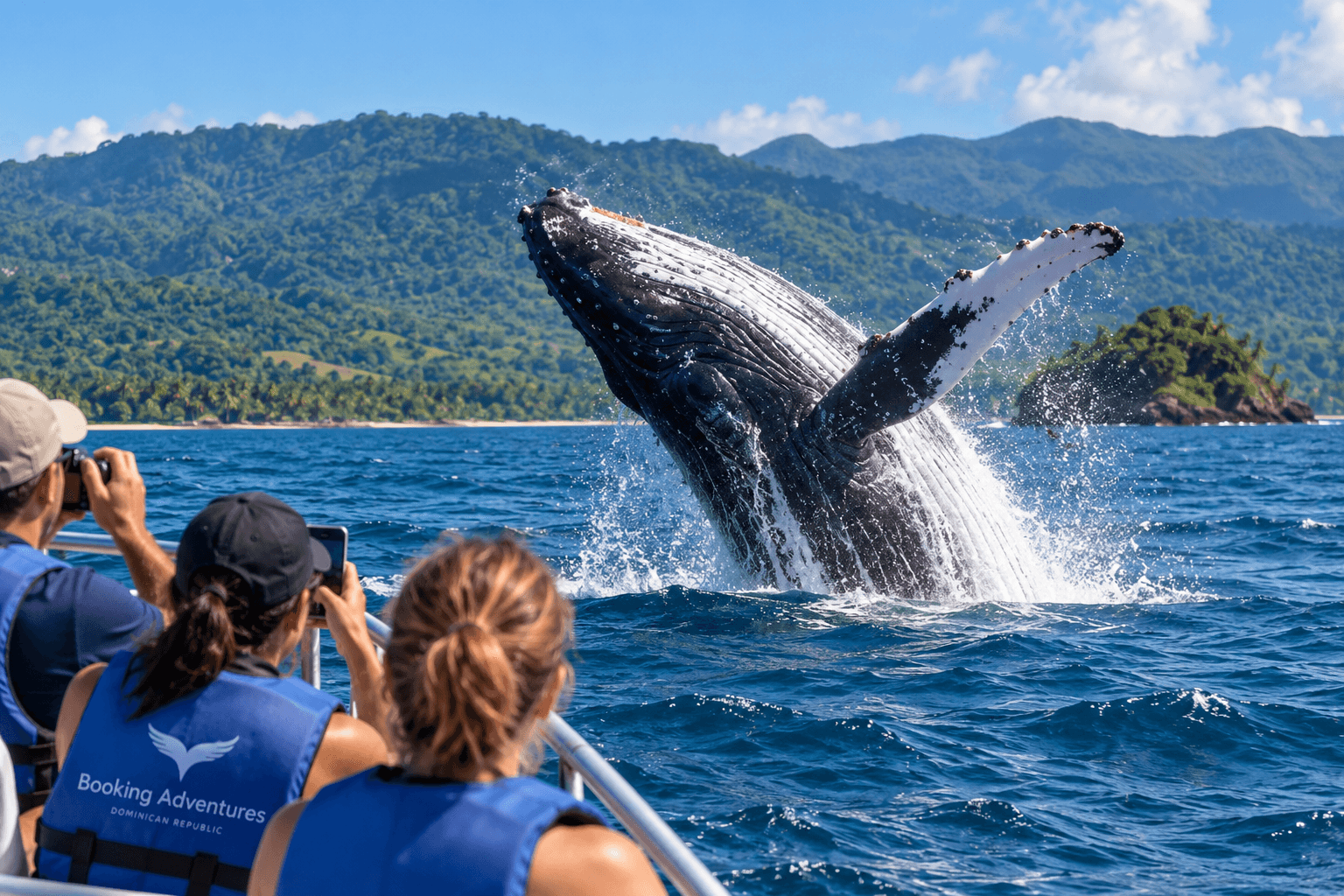 Sezóna sledování velryb Samaná 2027: Nejlepší čas vidět keporkaky - Whale Watching Punta Cana Guide
