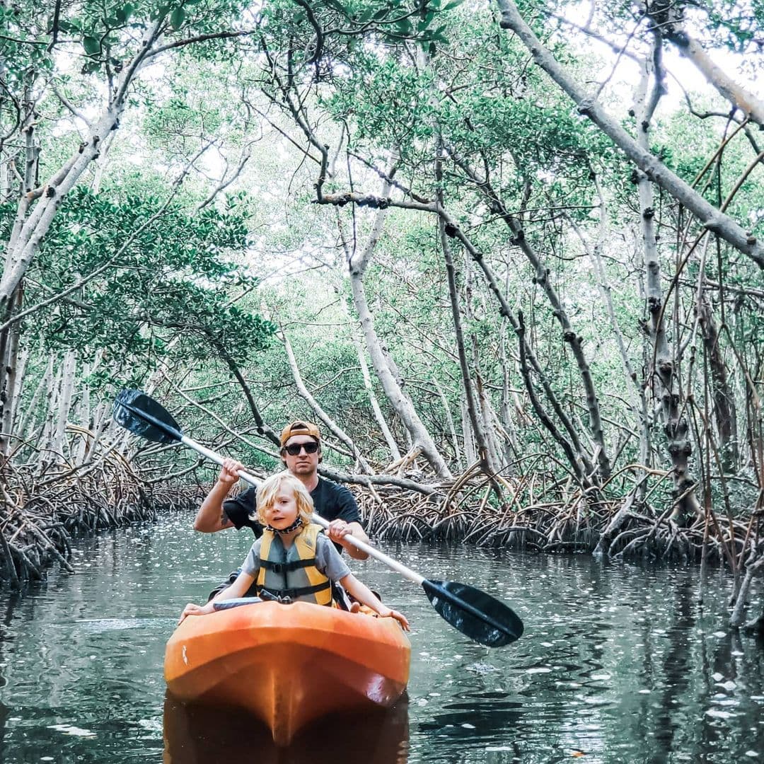 7 Best Things to Do in Los Haitises National Park in 2026 - Whale Watching Punta Cana Guide