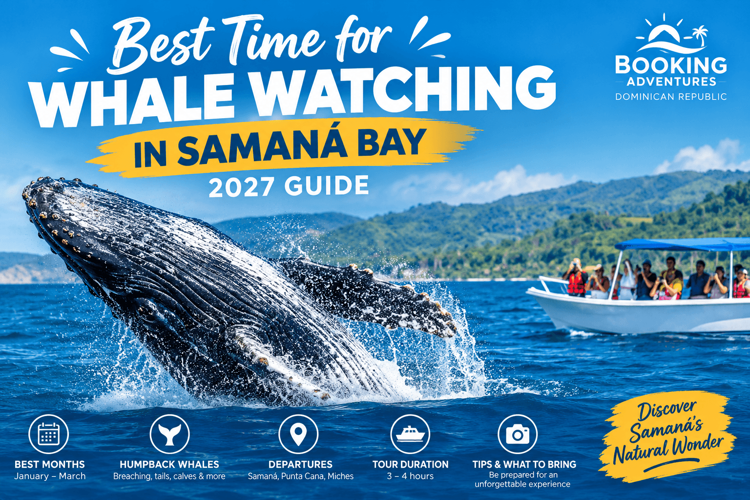 Mejor Época para Avistar Ballenas en la Bahía de Samaná: Guía 2027