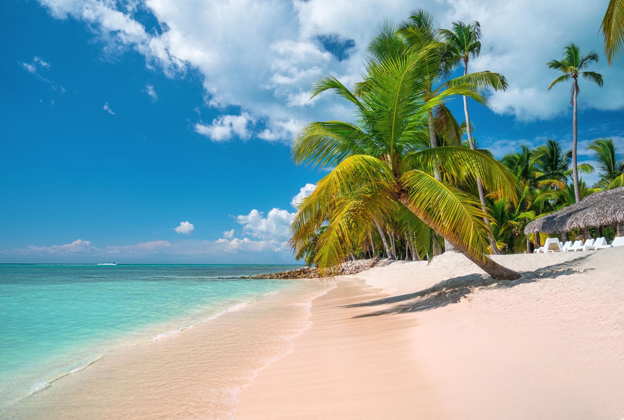 Top Tours nan Repiblik Dominikèn | Saona Island, Los Haitises & More