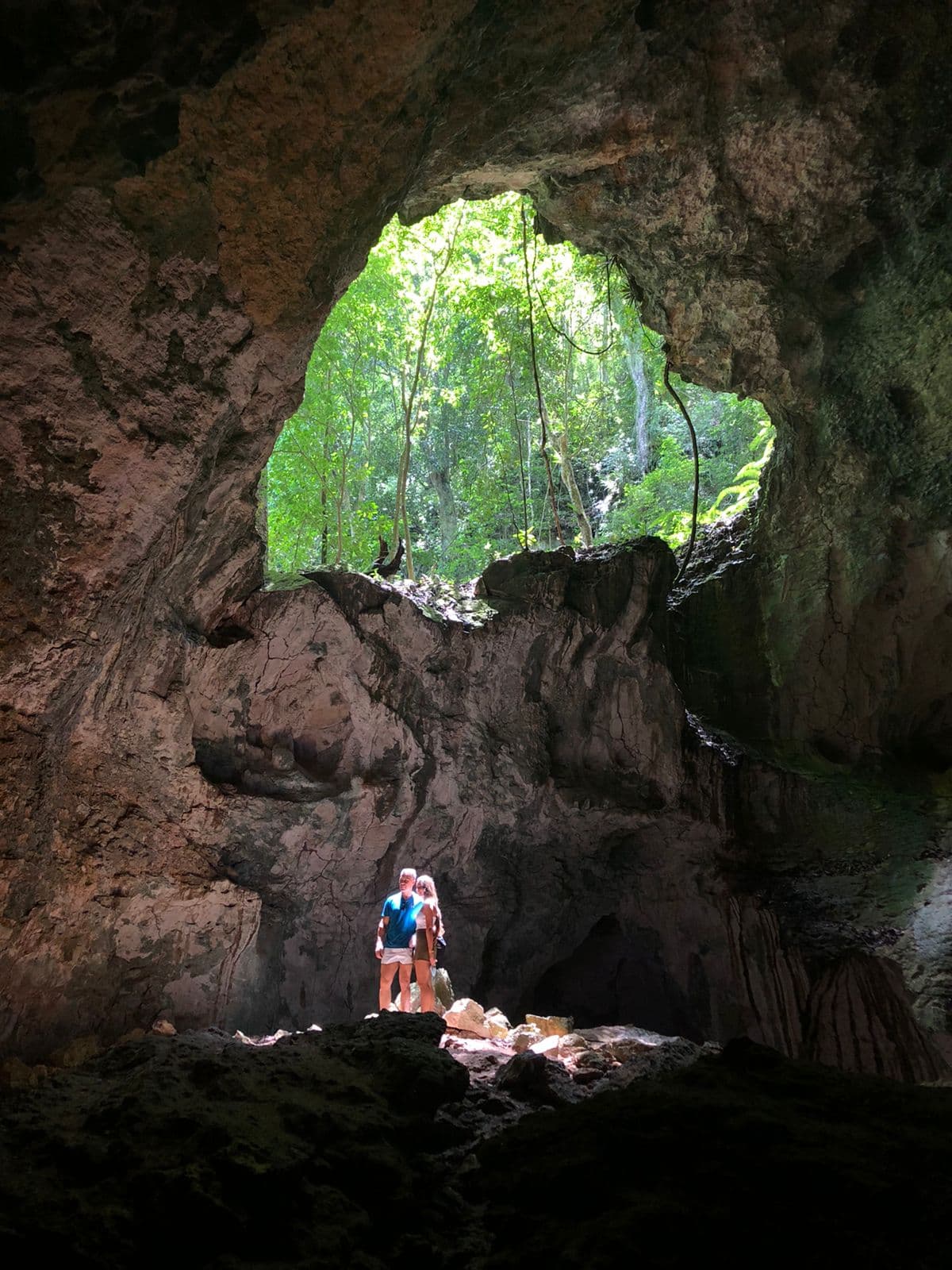 Los Haitises de Samaná | Tours, Precios y Guía Completa - Whale Watching Punta Cana Guide