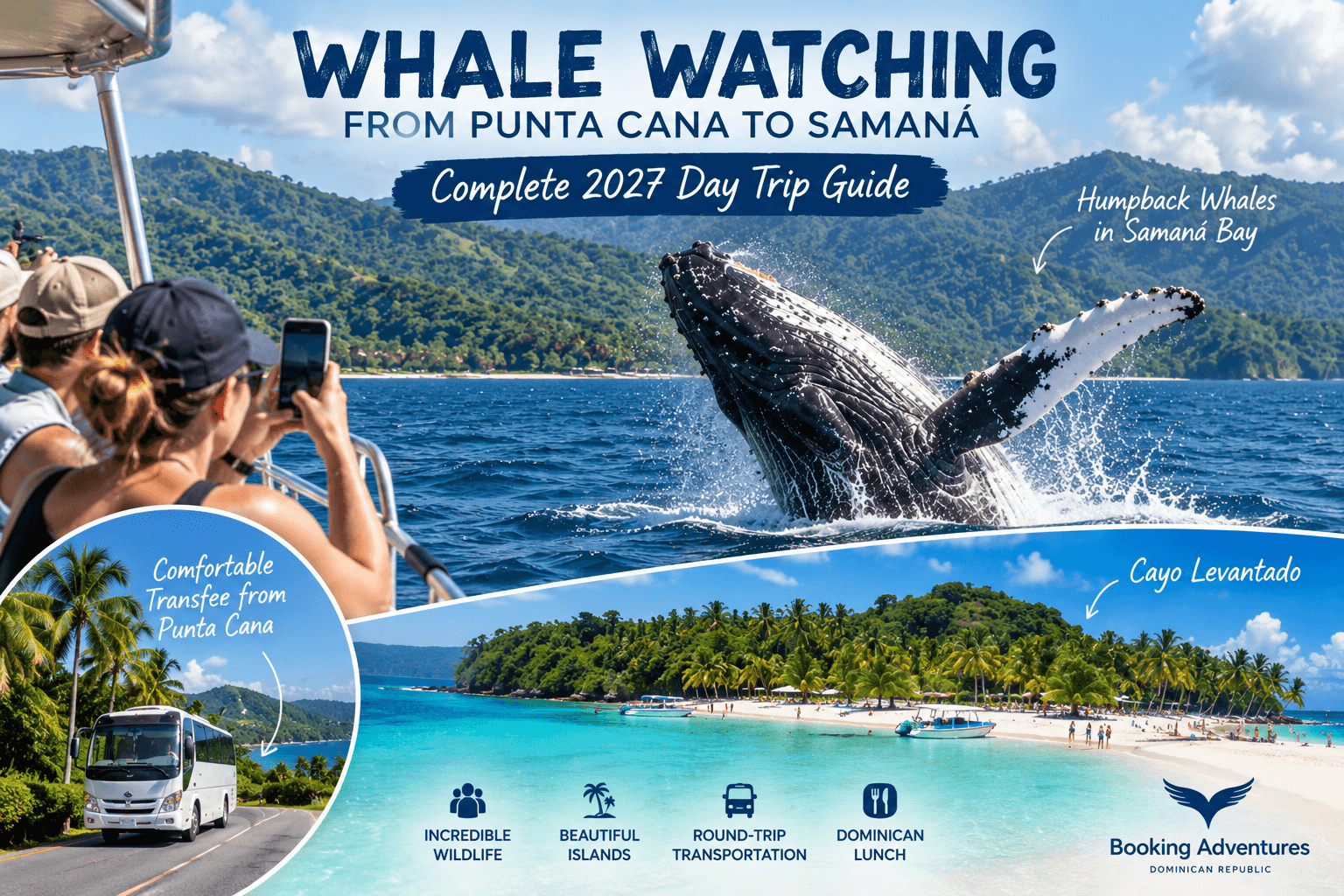 Pozorování velryb z Punta Cana do Samaná: Kompletní průvodce jednodenním výletem 2027 - Whale Watching Punta Cana Guide