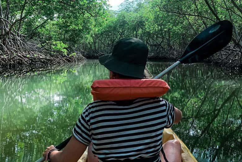 Národní park Los Haitises by Kayak: A Solo Traveler’s Adventure v květnu 2026 - Whale Watching Punta Cana Guide