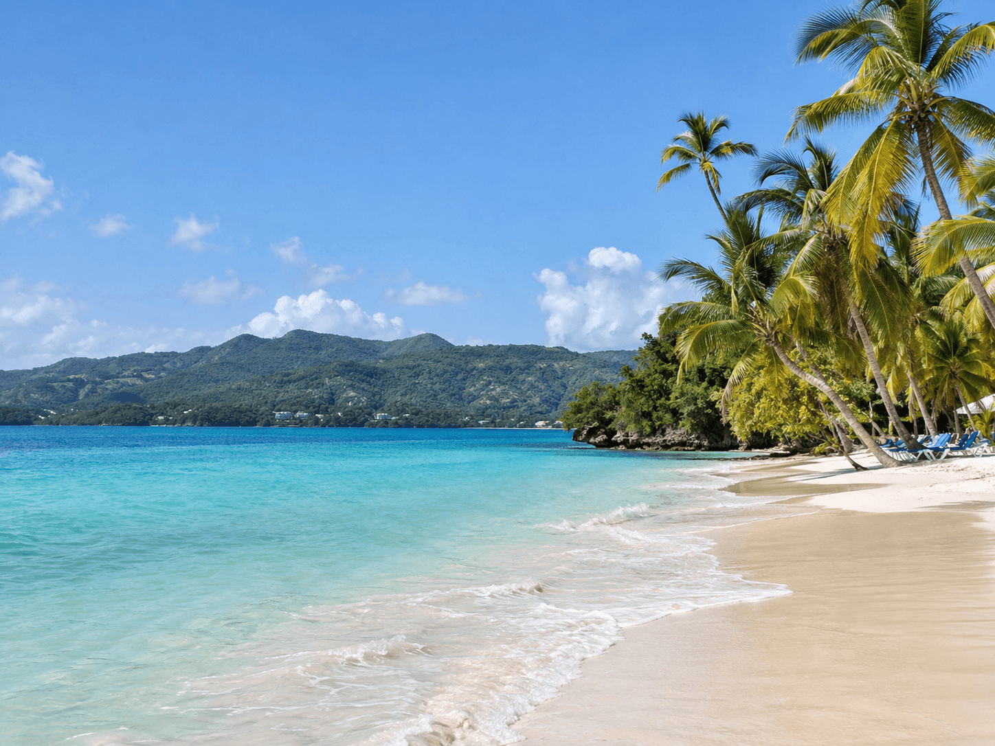 Los Haitises und Cayo Levantado ab Samaná: ATV-, Kajak-, Fähren- und Katamaran-Abenteuer - Whale Watching Punta Cana Guide
