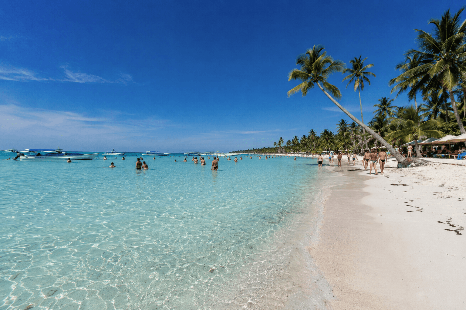 Ostrov Saona Dominikánská republika: Prohlídky, tipy a ceny 2026 - Whale Watching Punta Cana Guide