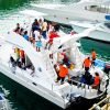 Catalina Island Scuba Diving Tour from Punta Cana – Bild 3