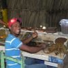 Dominican Countryside: Half-Day Tour – Bild 3