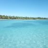 Saona Island: Beach & Natural Pool Small-Group Tour w/ Lunch – Bild 13