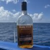 Saona Island: Beach & Natural Pool Small-Group Tour w/ Lunch – Bild 14