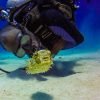 Catalina Island Scuba Diving Tour from Punta Cana – Bild 2