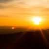 Punta Cana: Sunset Horseback Ride in Macao Beach and Forest - immagine 3
