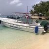 Saona Island: Beach & Natural Pool Small-Group Tour w/ Lunch – Bild 3