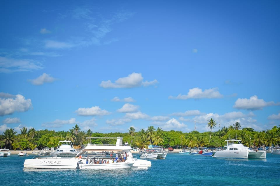 From Punta Cana: Saona Island Full Day Trip with Lunch 27 From Punta Cana: Saona Island Full Day Trip with Lunch - Image 27