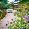 Dominican Countryside: Half-Day Tour – Bild 5