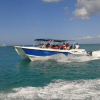 Saona Island: Full-Day Boat Tour with Drinks & Buffet Lunch – Bild 5