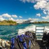 Catalina Island Scuba Diving Tour from Punta Cana – Bild 6