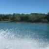 Saona Island: Beach & Natural Pool Small-Group Tour w/ Lunch – Bild 7