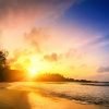 Punta Cana: Sunset Horseback Ride in Macao Beach and Forest - immagine 8