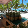 Saona Island: Full-Day Boat Tour with Drinks & Buffet Lunch – Bild 9