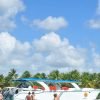 All-Inclusive Saona Island Day Trip from Punta Cana - Image 12