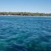 All-Inclusive Saona Island Day Trip from Punta Cana - Image 14