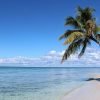 All-Inclusive Saona Island Day Trip from Punta Cana - Image 15