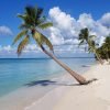 All-Inclusive Saona Island Day Trip from Punta Cana - Image 4