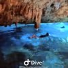 Bayahibe: Snorkeling Tour - Sea, Cotubanama park & Cenotes - Image 5