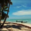 All-Inclusive Saona Island Day Trip from Punta Cana - Image 5