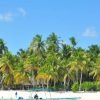 All-Inclusive Saona Island Day Trip from Punta Cana - Image 10
