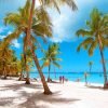 Saona Island Snorkeling, Catamaran and Lunch on the Beach - Image 3