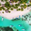Saona Island Snorkeling, Catamaran and Lunch on the Beach - Image 7